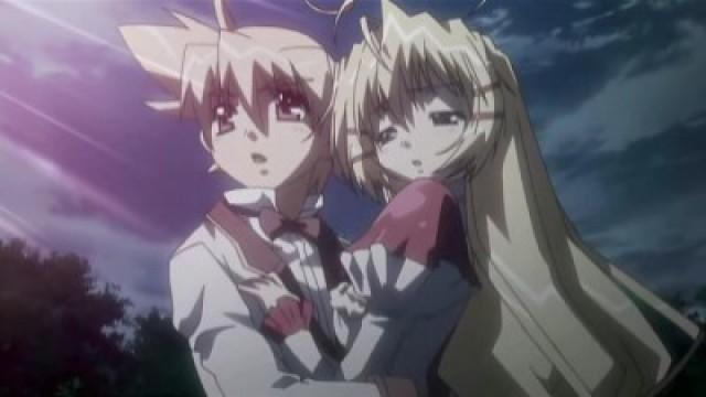 The Ark of Knights