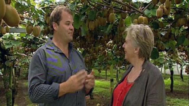 Feijoa & Kiwi Fruit