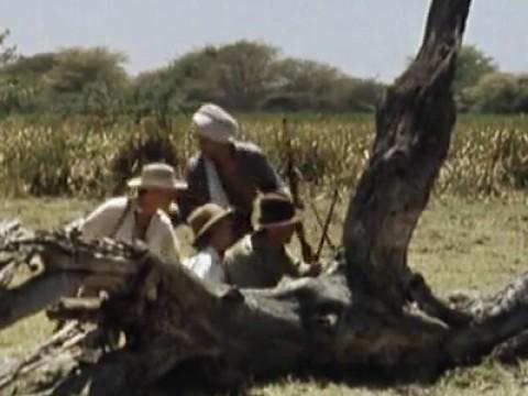 Safari