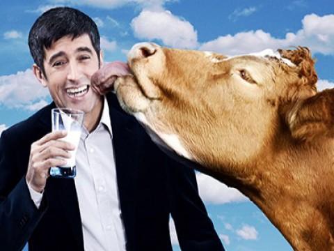 Milch - von der Kuh in die Tüte