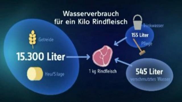 Die Welt retten in kleinen Schritten II