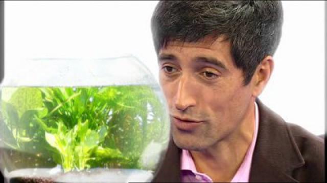 Aliens gesucht - Leben auf anderen Planeten