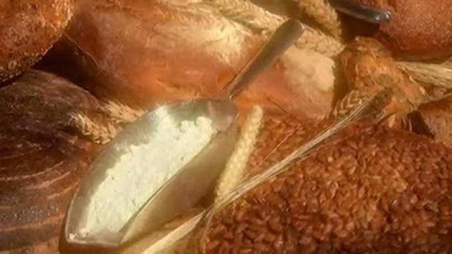 Wie gut ist unser Brot?