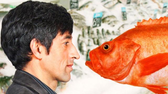 Wie viel Fisch soll auf den Tisch?