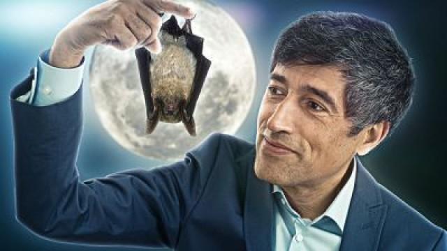 Batman oder Dracula? - Die Wahrheit über die Fledermaus