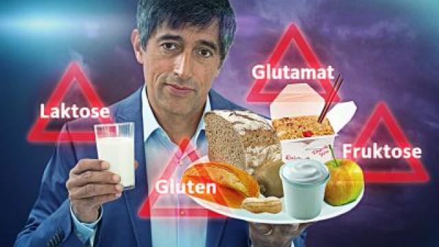 Alles unverträglich? Wenn Lebensmittel krank machen