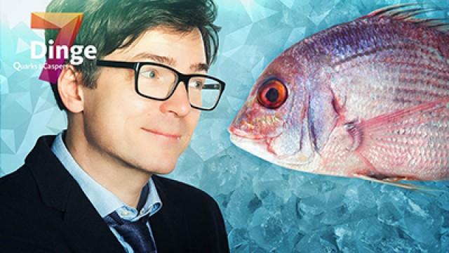 Quarks & Caspers: Fisch - 7 Dinge, auf die Sie achten sollten!
