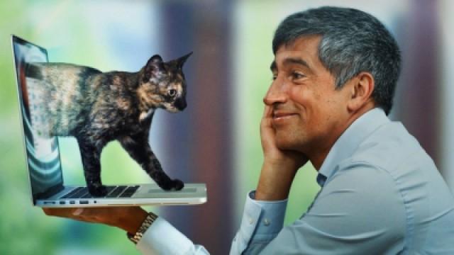 Vierbeinige Verführer – Warum wir verrückt nach Katzen sind