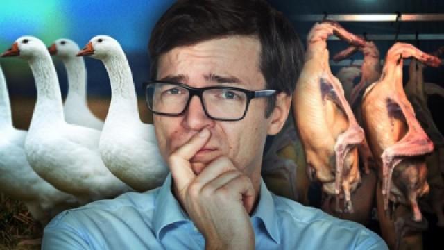 Fleisch! Warum wir Tiere lieben und trotzdem essen