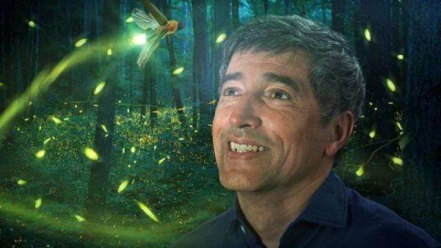 Dramatic death - Can our insects still be saved?