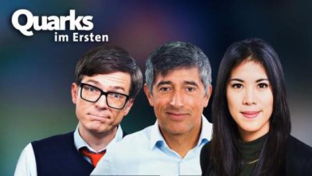 Schön schlau - wie Intelligenz unser Leben bestimmt