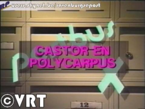 De Vergulde Veder