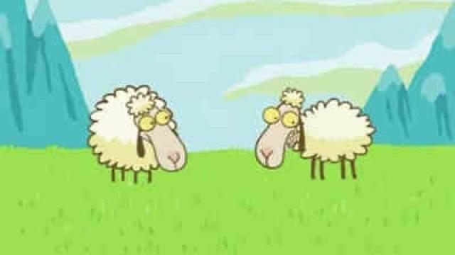 Des Moutons Qui Organisent un Pique-Nique