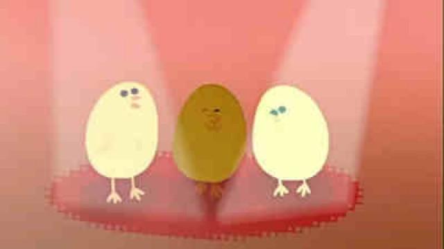 Un Boys-Band de Poussins