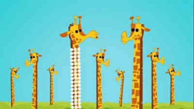 Une Girafe avec un Collier
