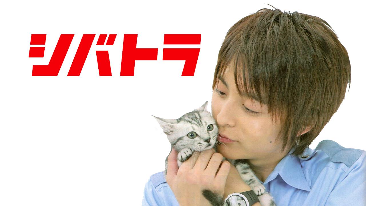 Shibatora