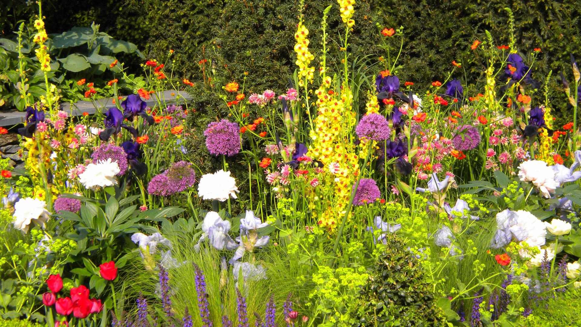 The Victorian Flower Garden