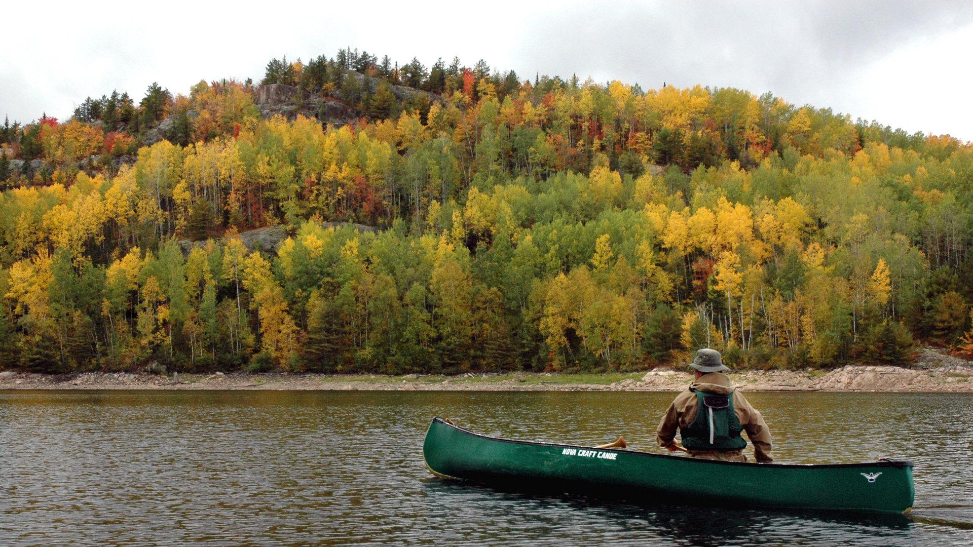 Ray Mears' Northern Wilderness