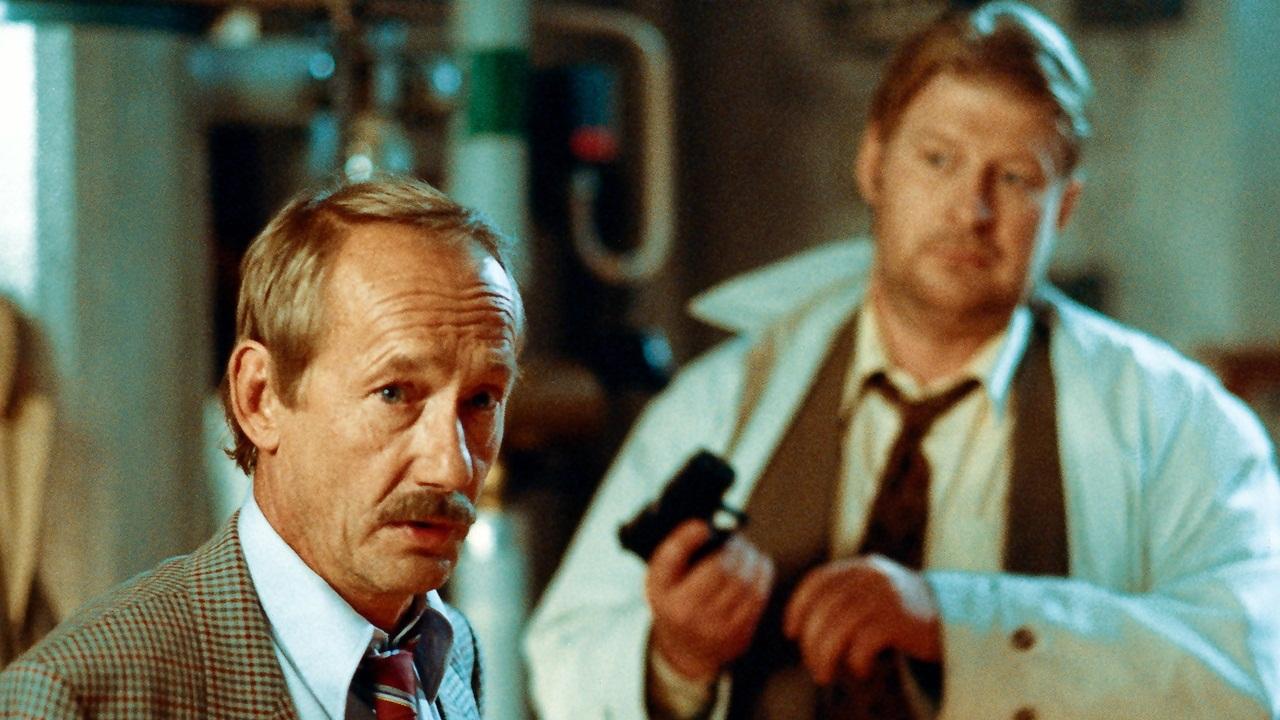 Beck (1993)