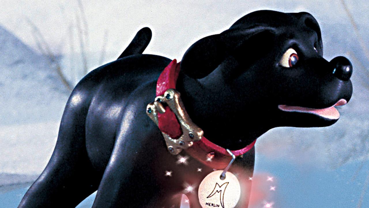 Merlin The Magical Puppy