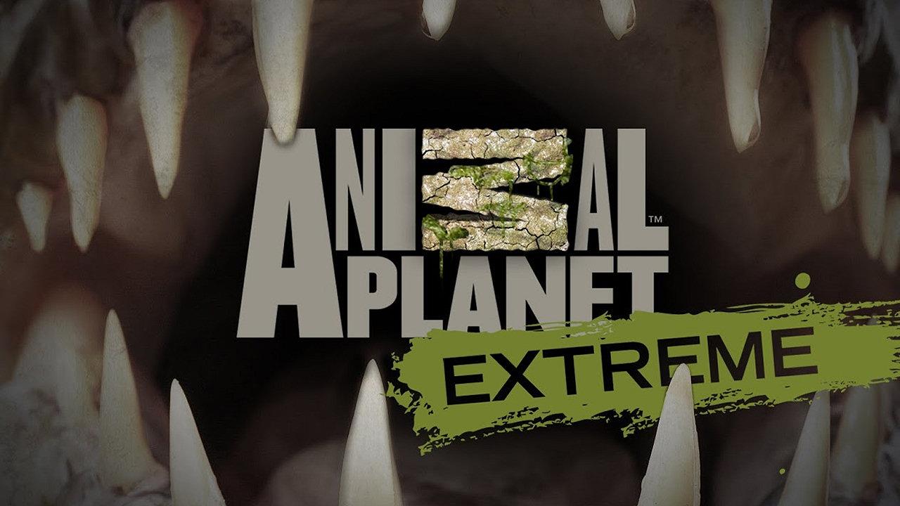 The Most Extreme