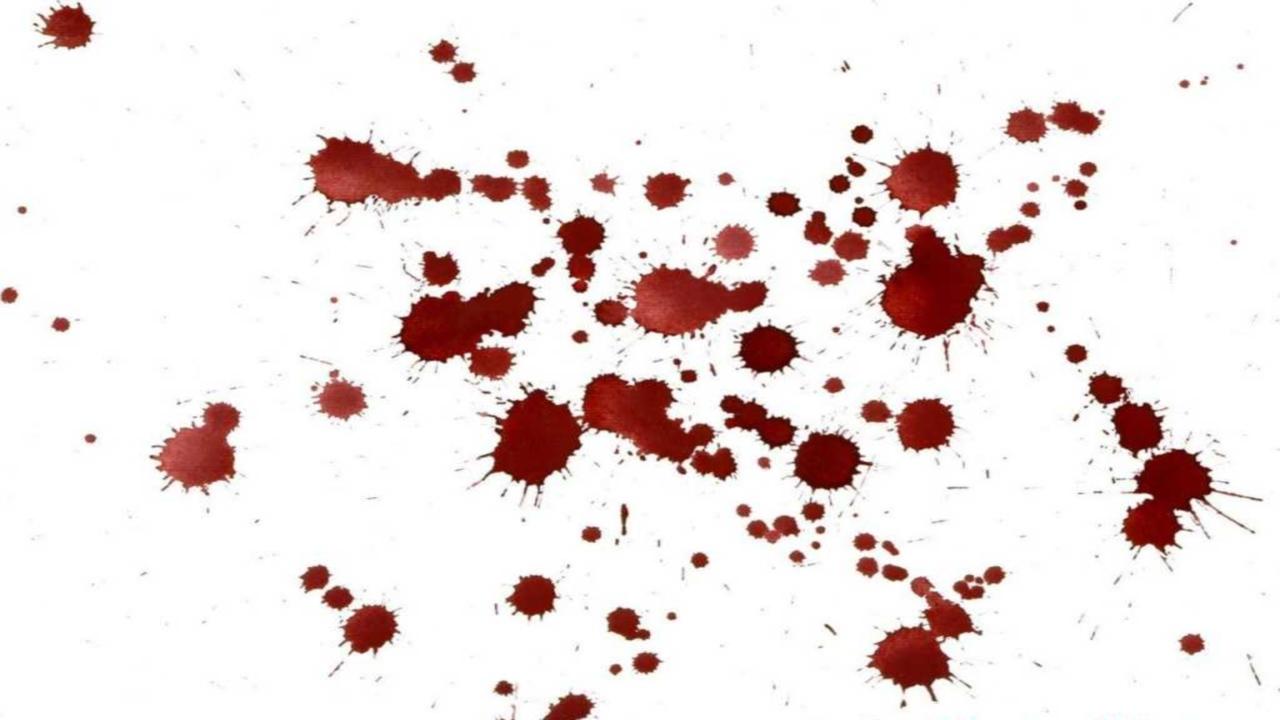 Mujeres Asesinas