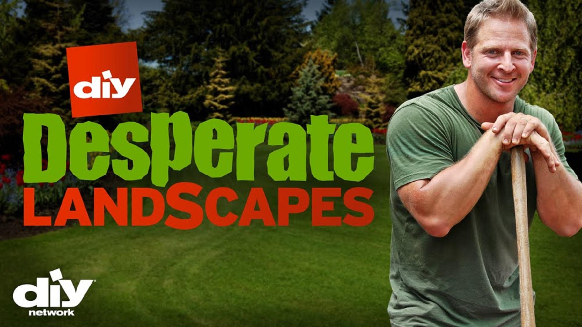 Desperate Landscapes