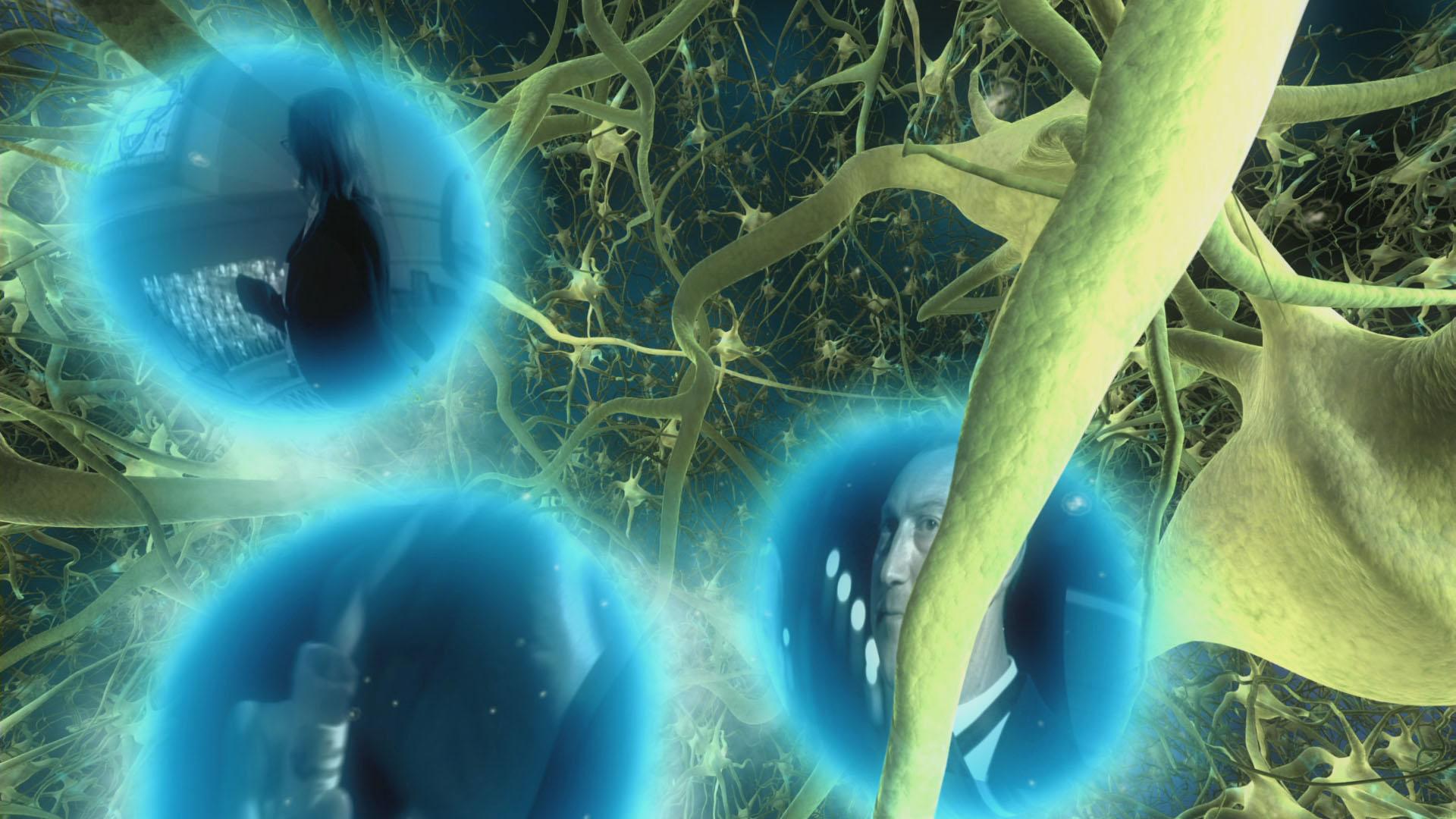 The Brain: Our Universe Within