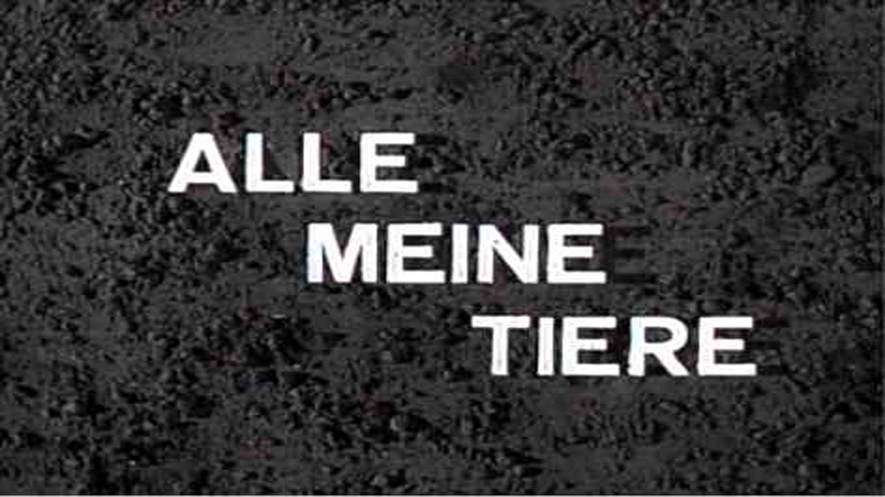 Alle meine Tiere