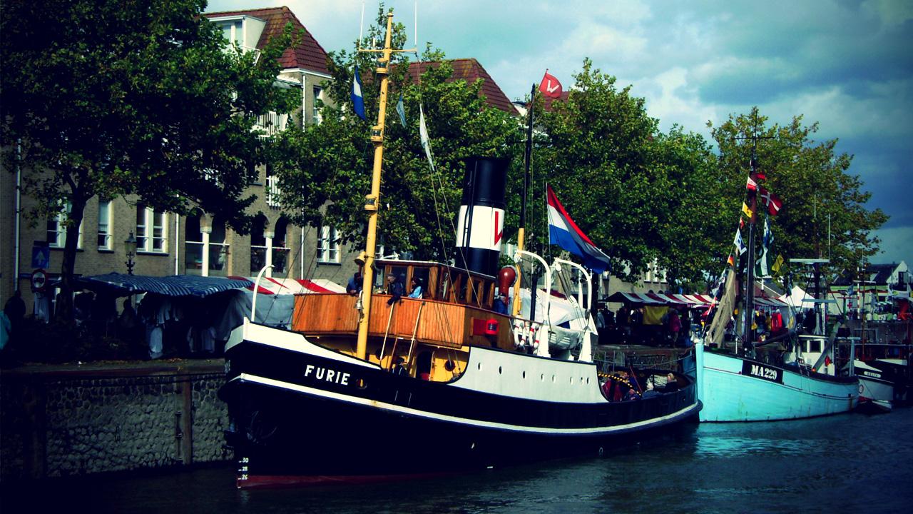 Hollands Glorie