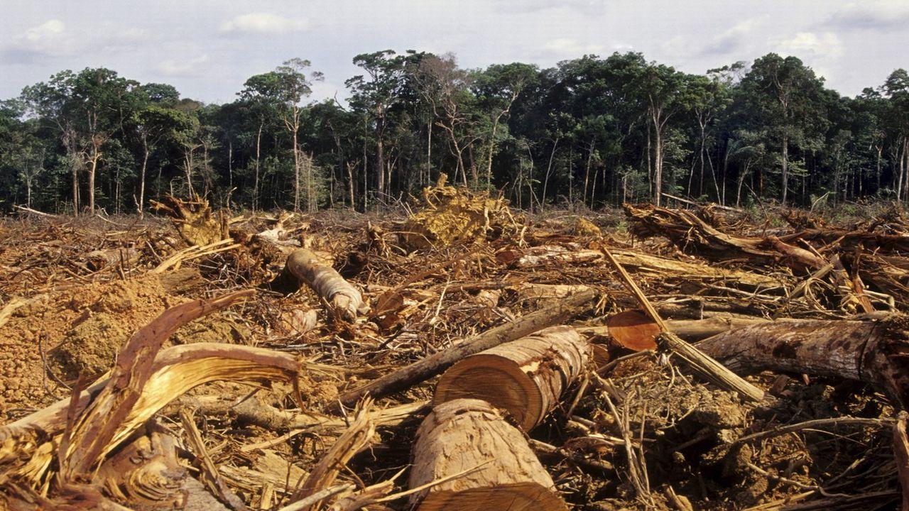 Ross Kemp: Kampf um den Amazonas