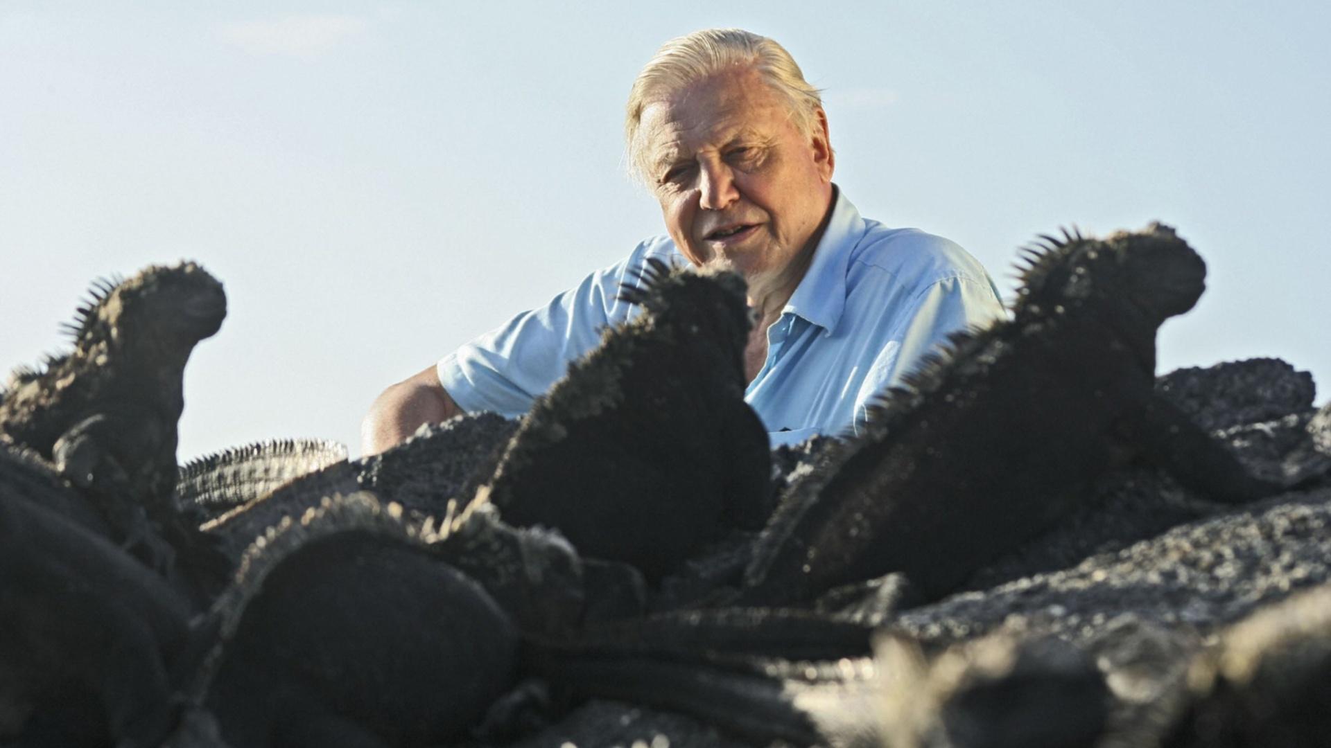 David Attenborough's First Life
