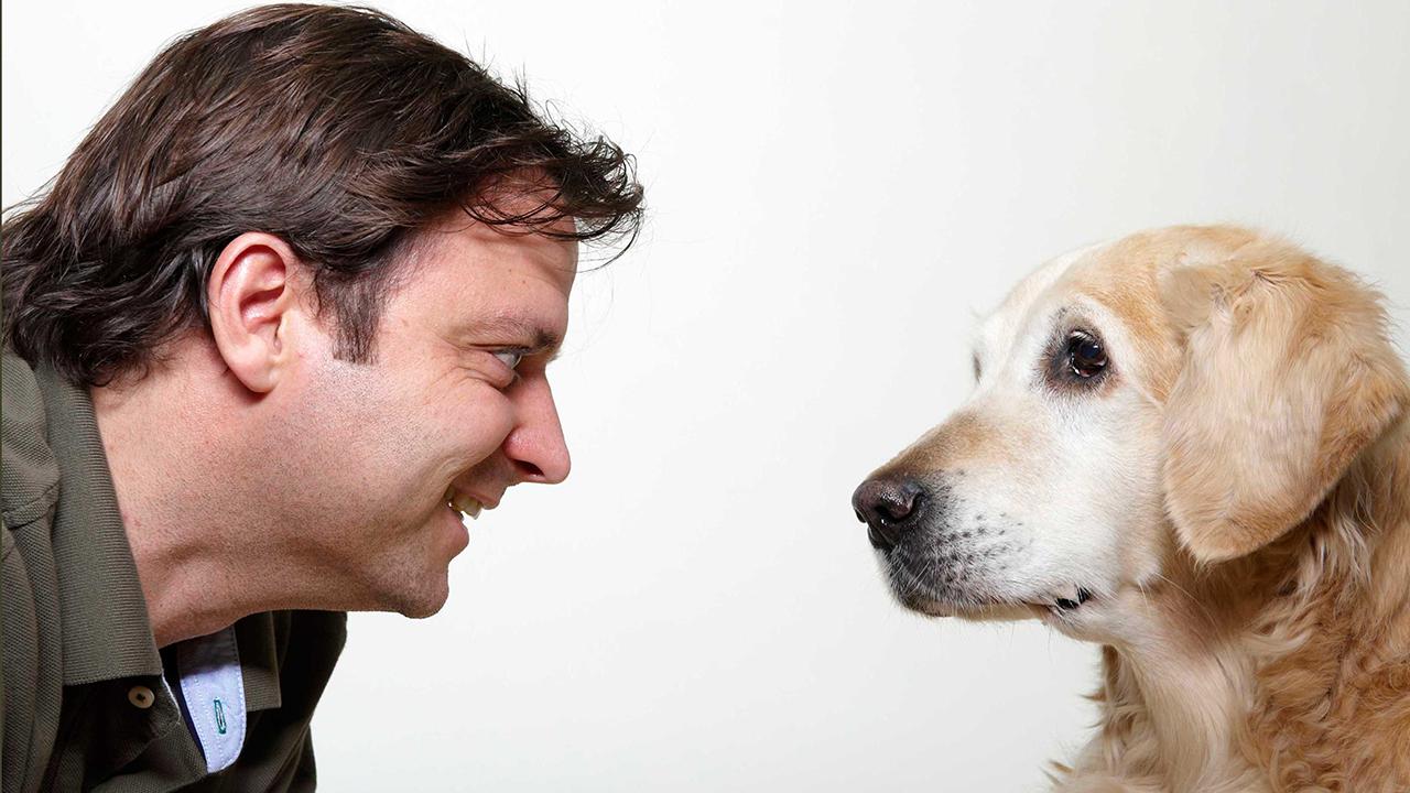 Der Hundeprofi