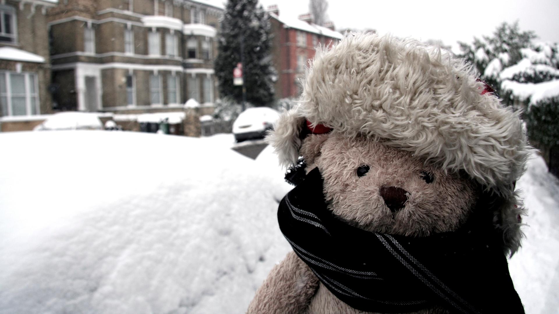 Misery Bear