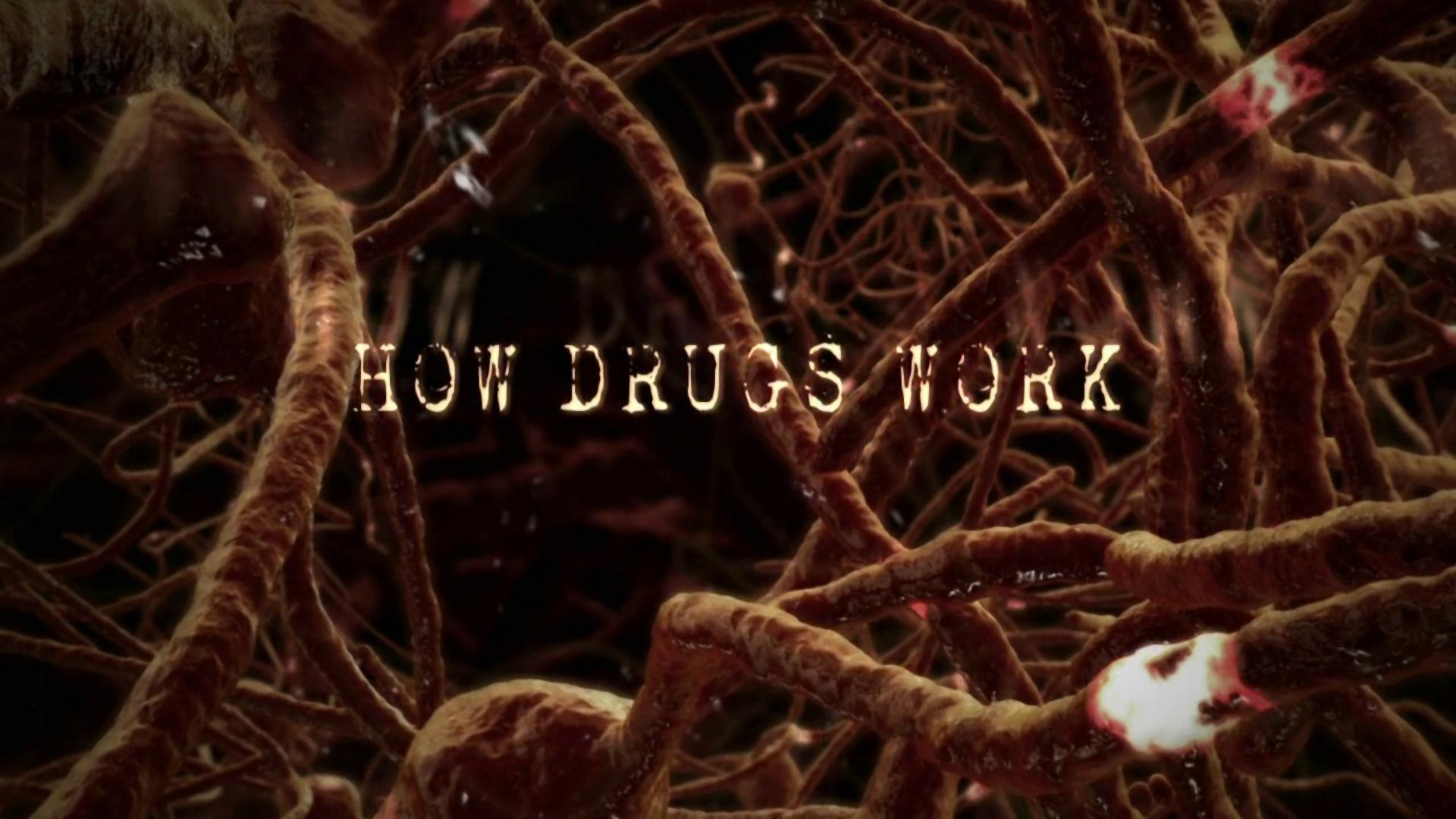 How Drugs Work
