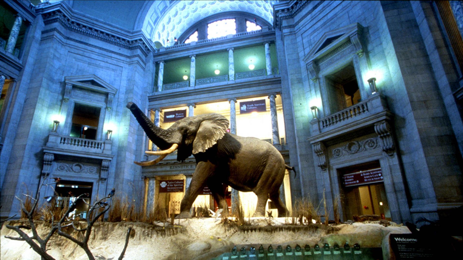 Smithsonian Channel Documentaries