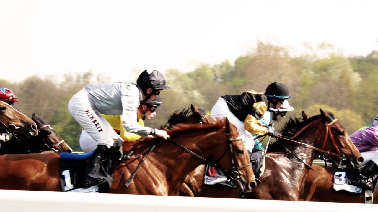 Rivalen der Rennbahn