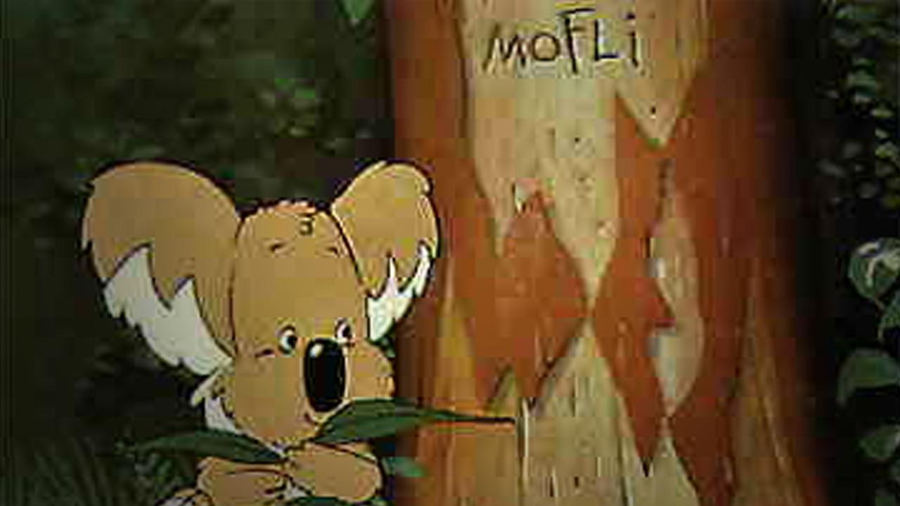 Mofli, el último koala