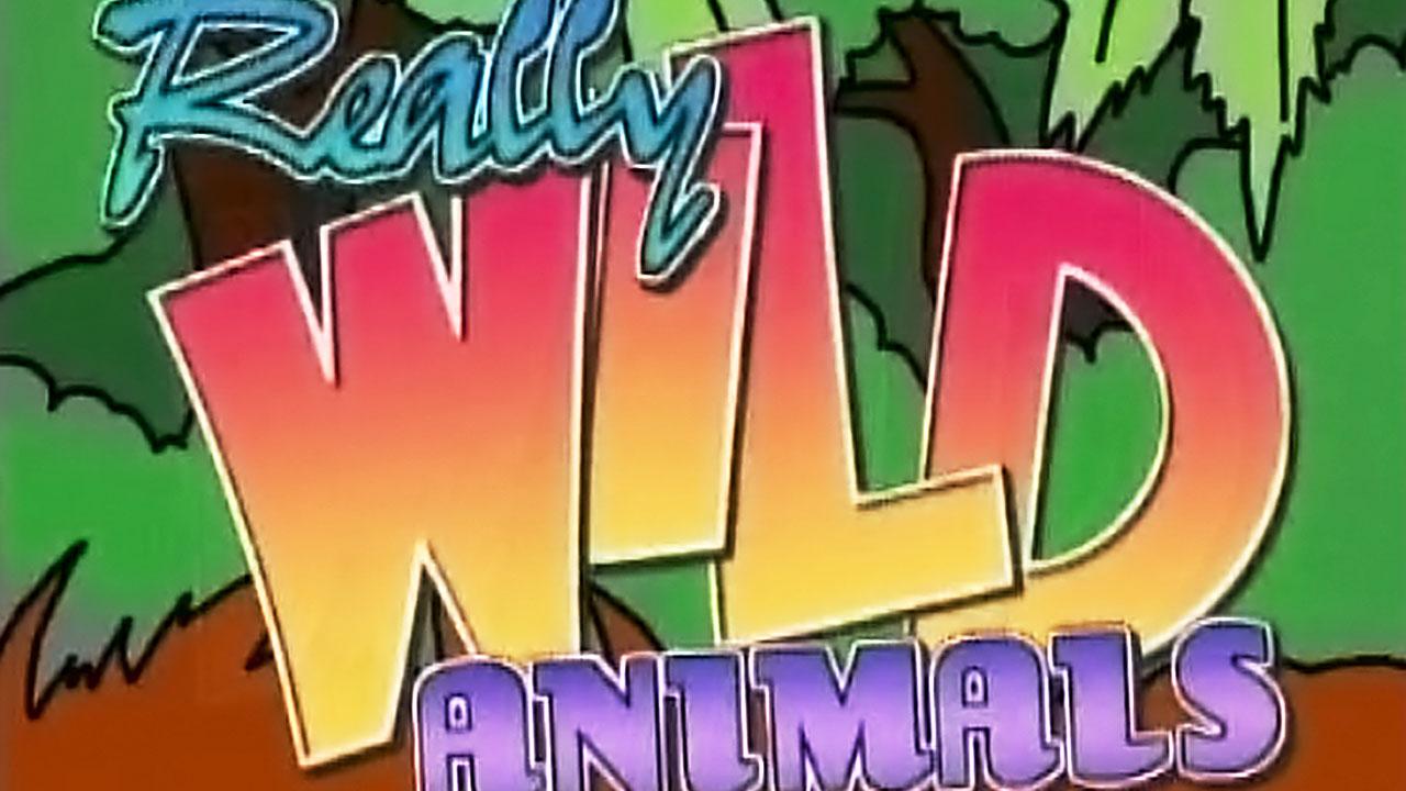 Really Wild Animals