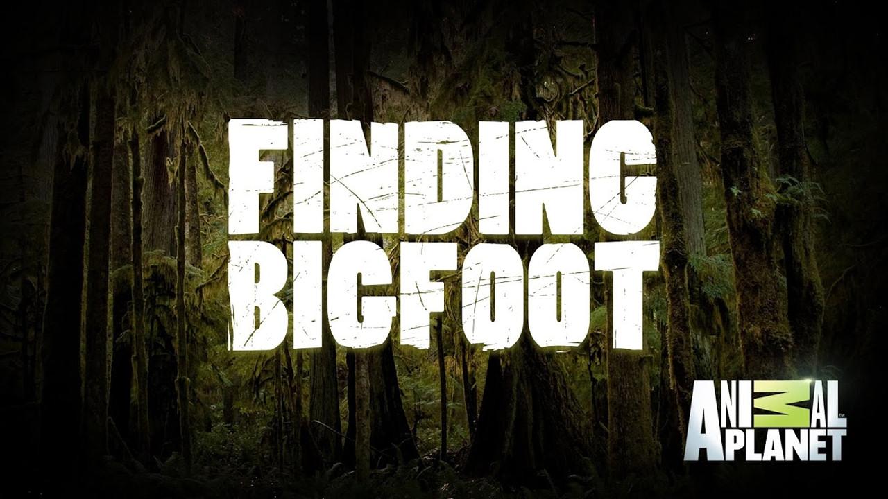 Finding Bigfoot