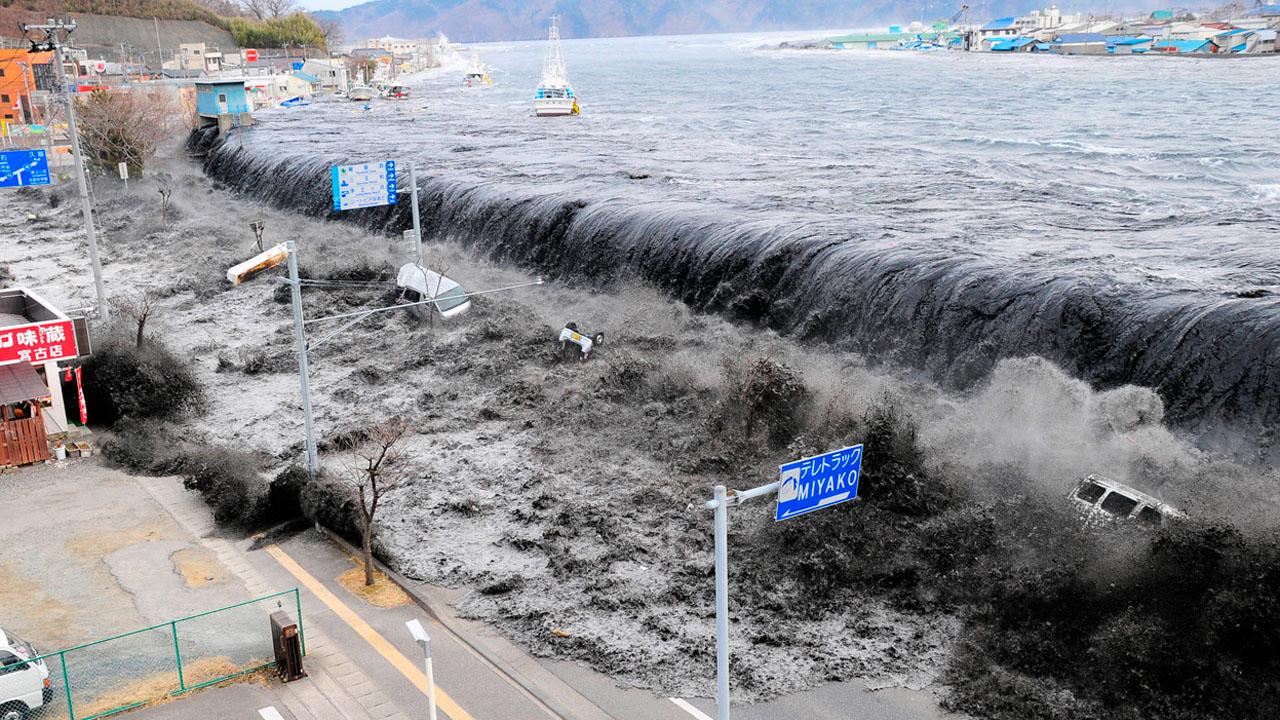 Witness: Disaster