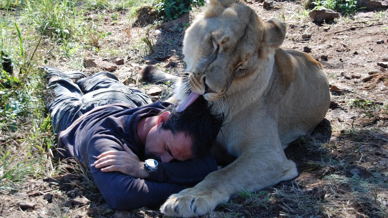 The Lion Ranger