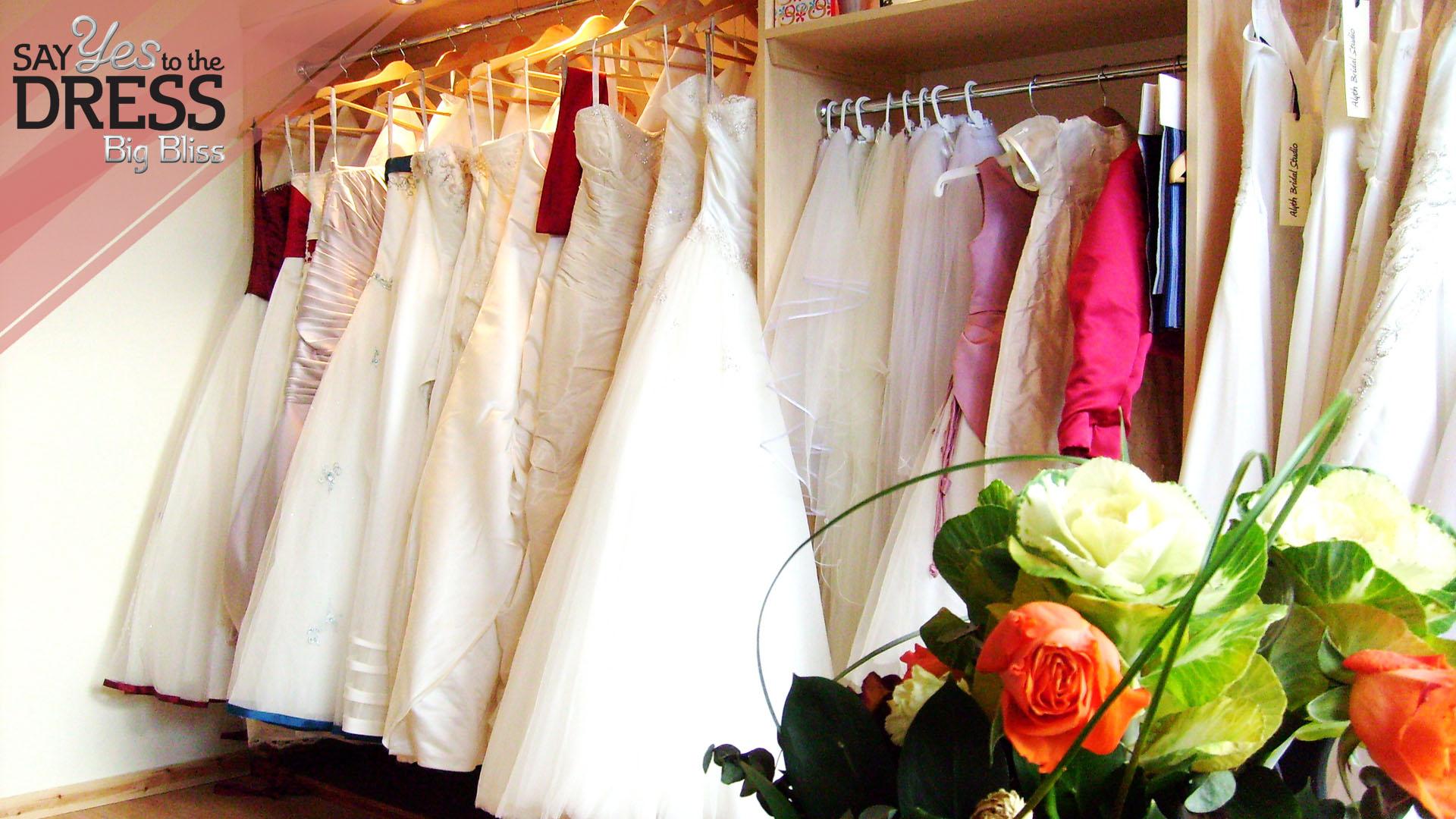 Say Yes to the Dress: Big Bliss