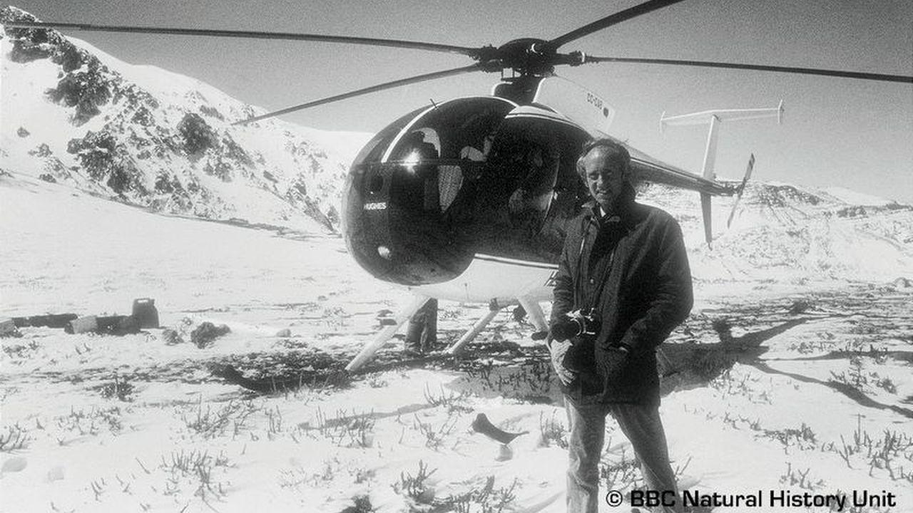 The Flight of the Condor: Ice, Wind and Fire