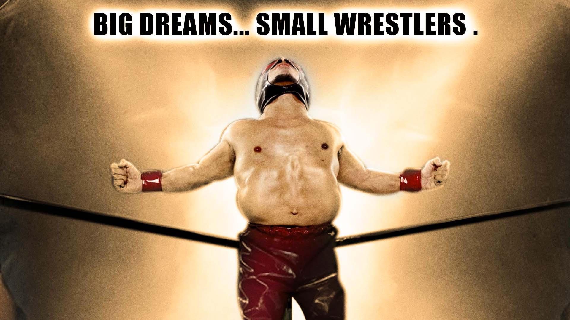 Hulk Hogan's Micro Championship Wrestling