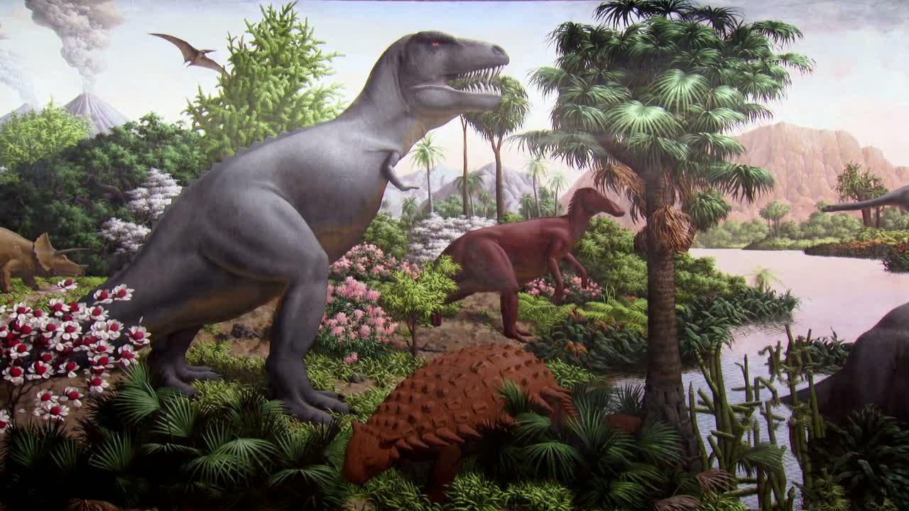 Dinosaurs Myths and Monsters
