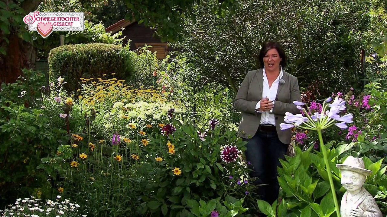 Schwiegertochter gesucht