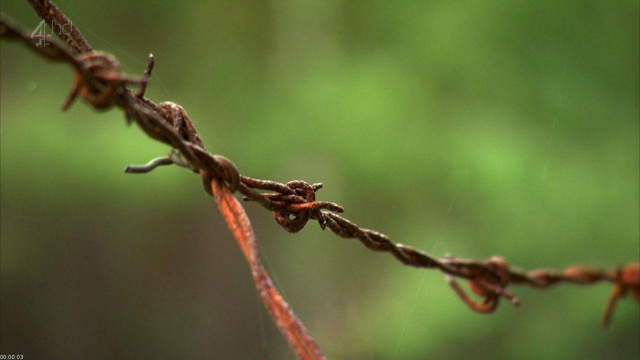 Gesprengte Ketten - Die wahre Geschichte