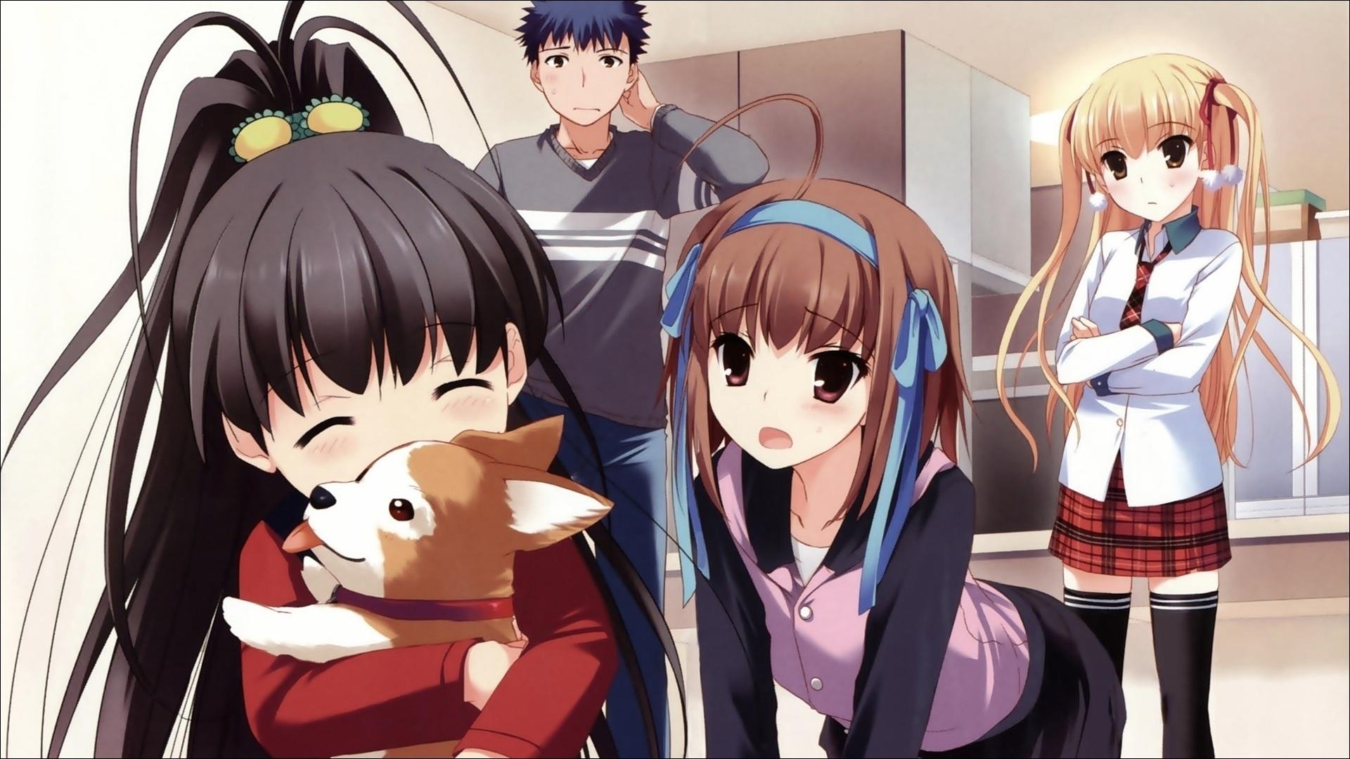 Papa no Iukoto o Kikinasai!
