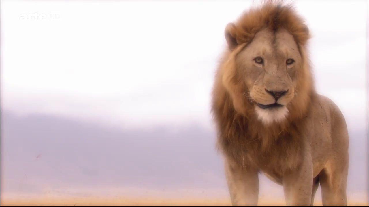 Natural Paradises of Africa